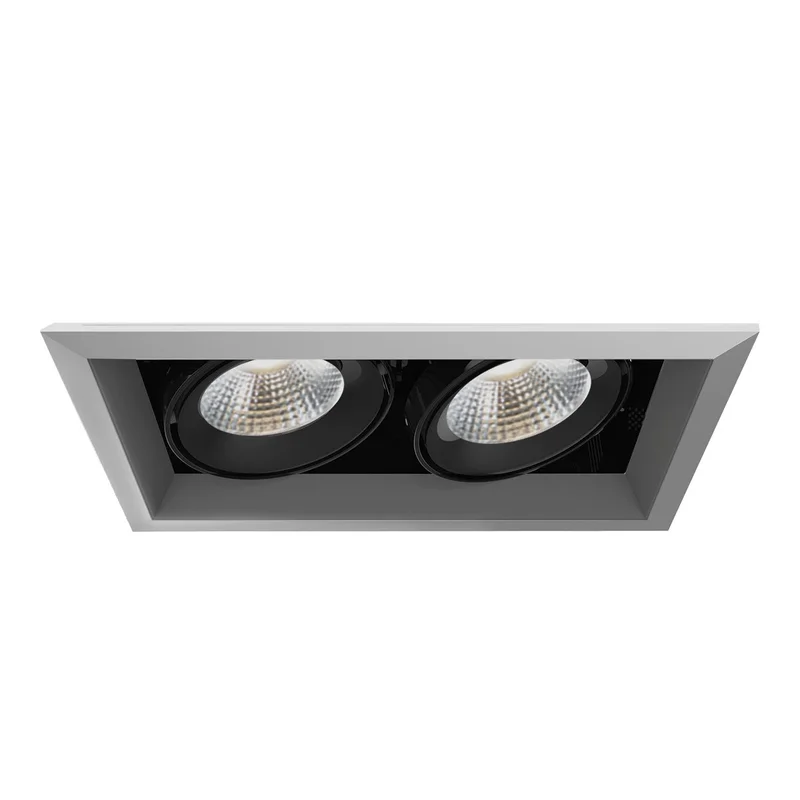 Eurofase Canada - TE132LED-30-2-0N - MULT,26W,TRM,2LT,30K,PT/BLK - TE SERIES - Platinum– thelightingshoppe.ca